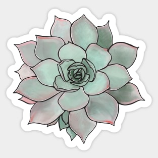 Succulent Plant Sticker